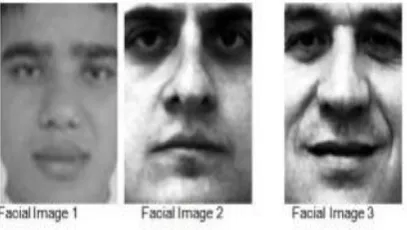 Figure 1.7: Different input Facial Images  