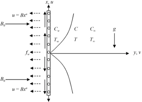 Figure 1. Flow configuration and coordinate system.  