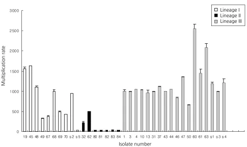 Figure 1. Distribution of invasion efficiency of selected lineage I, II, and III isolates in Vero cells