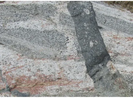 Figure 2.2: Rock outcrop showing diﬀerent, adjacent rock types which can be readily noticed by visualcues