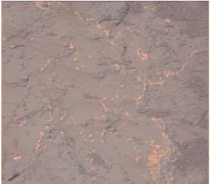 Figure 3.10: MSL MastCam-right photograph of calcium sulfate veins in mudstone, image references133r1