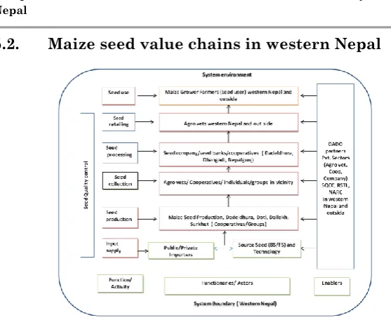 Figure 1: Maize seed value chain in western Nepal 