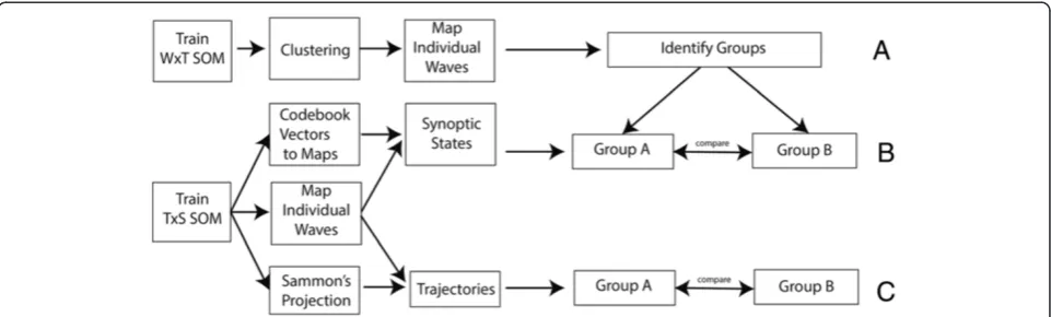 Figure 4 Flow diagram spatial diffusion. Flow diagram showing the steps for the identification of diffusion