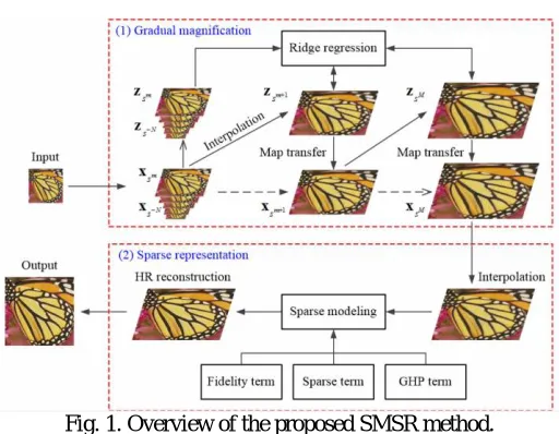 Fig. 1. Overview of the proposed SMSR method. 