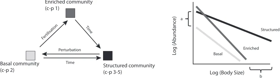 Fig. 1.et al. (2001) and B) their expected representation in a Local Size Density Relationship model BSS