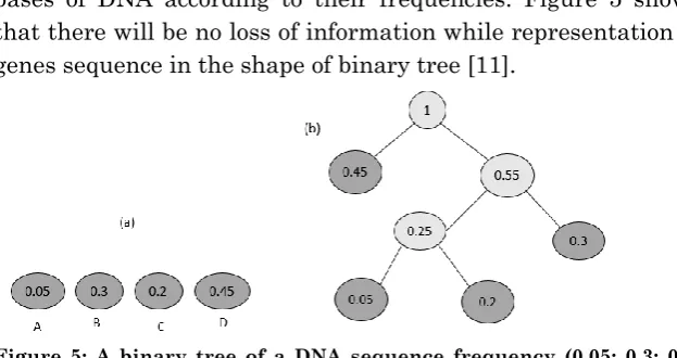 Figure 5: A binary tree of a DNA sequence frequency (0.05; 0.3; 0.2; 0.45); a) The primary nodes; b) Huffman tree [11]