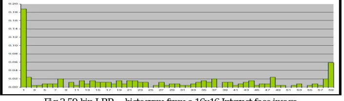 Fig.3 59-bin LBP(8,1)histogram from a 16x16 Internet face image 