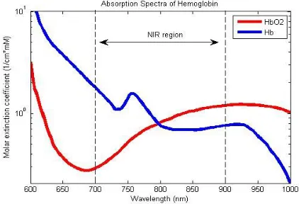 Fig 4 Absorption spectra of oxy- and deoxyhemoglobin  