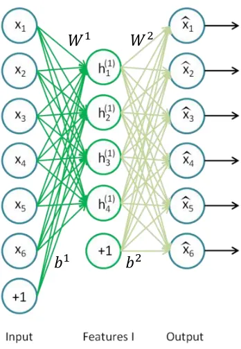 Figure 5: A single layer autoencoder which will be the first in the stack. The weighted 
