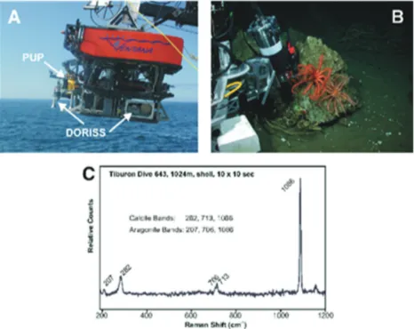 Fig. 6. (A) The DORISS instrument and the Prescision UnderwaterPositioner (PUP) are deployed by ROV (White et al., 2005)