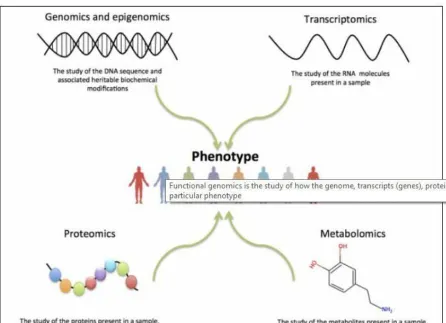 Fig 1, Functional Genomics 1 