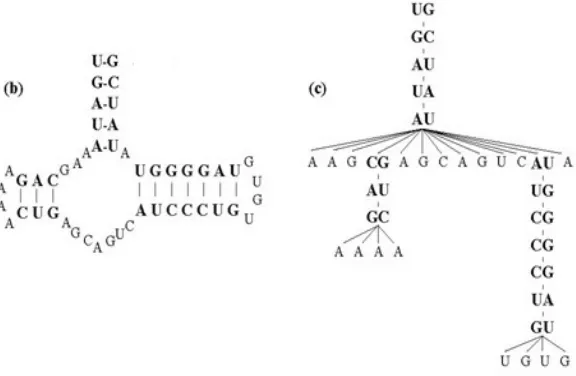 Figure 1.1: RNA structure and tree representation.[24]