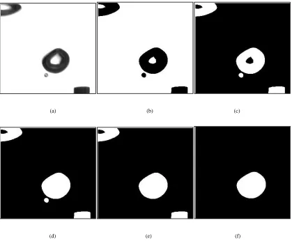 Figure 1-5: Image processing of the bubble formation to measure bubbles 