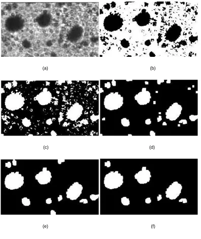 Figure 1-6: Image processing of spray droplets to measure droplet 