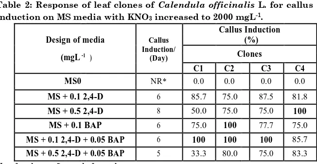 Fig. 2: Capability of clones derived from leaf of Calendula officinalisL.to induce callus on MS standard media