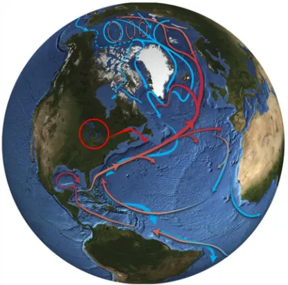Figure 1.2. Thermohaline circulation (THC) in the Atlantic and Arctic Oceans.  Warmer surface currents (red) and colder deep currents (blue) strongly influence Earth’s climate