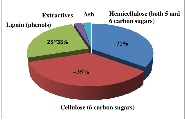 Figure 1- 1 Typical composition of a woody biomass 