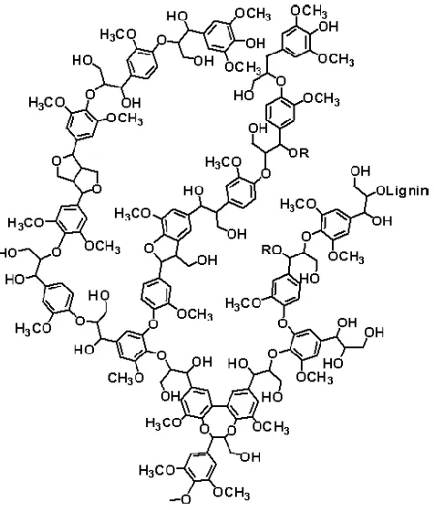 Figure 1- 2 Model structure of lignin (Lignoworks, 