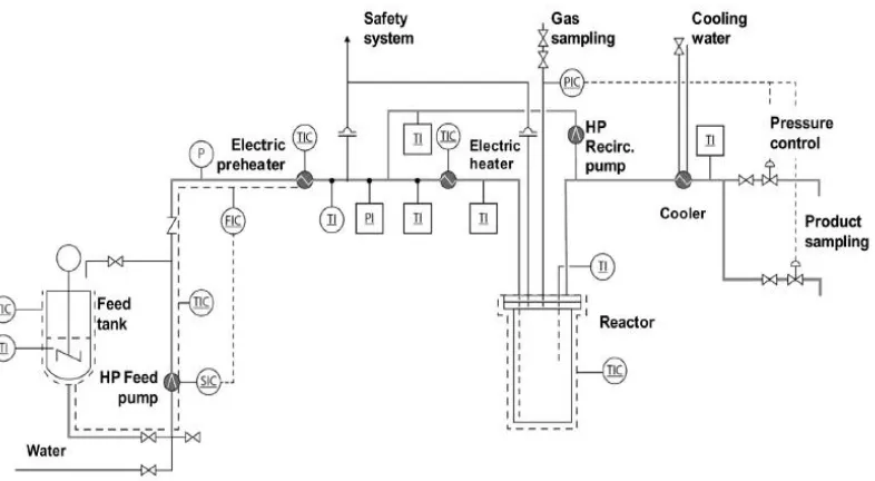 Figure 2- 3 Schematic diagram of the continuous-flow process for lignin 