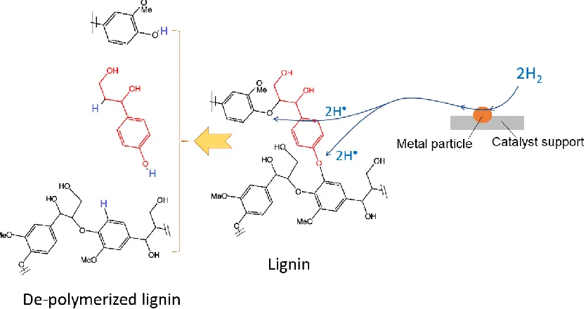 Figure 2-3. Possible reaction mechanism of reductive depolymerization of lignin 