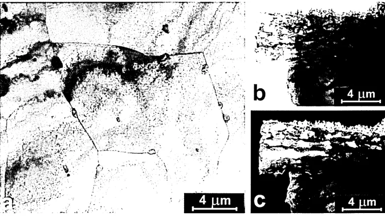 Figure 4.2: Optical micrograph of polished low carbon steel surface.