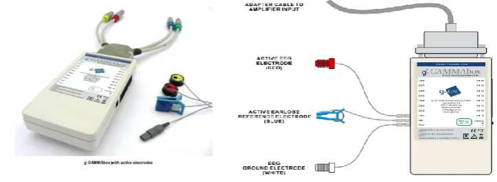 Fig.6 g.USBamp with 4 input channels[25] 