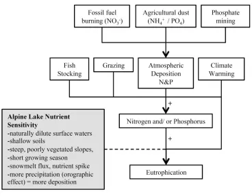 Figure 1.1. Conceptual model of potential causes of eutrophication in high alpine environments