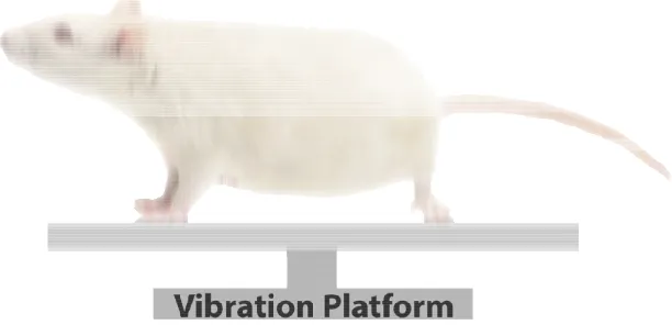 Figure 1-3 placed on a platform that motion. Three peak-acceleration (vibration magnitude), vibration amplitude, and vibration frequency