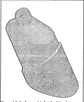 Figure 1.2 Surface model of a plastic bottle