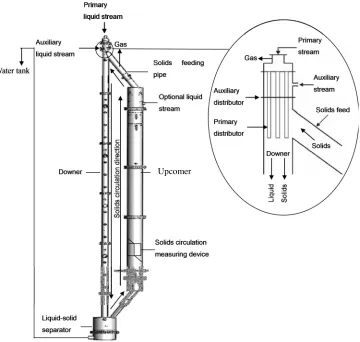 Figure 2-1: Schematic diagram of the inverse LSCFB reactor   