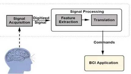 Fig. 1.Basic design and operation of BCI system.  
