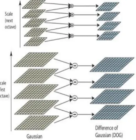 Fig.3.Example blurred images at different scale 