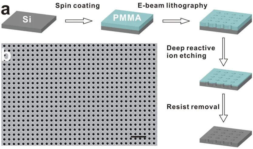 Figure 4-1 (a) Schematic for the fabrication process of Si templates. (b) Scanning 