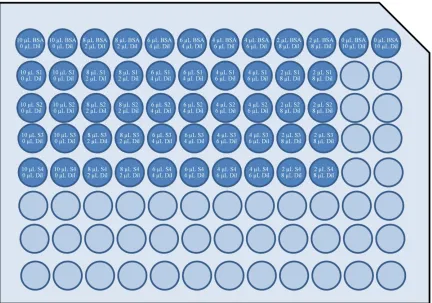 Figure 5. Bradford Assay setup. A serial dilution of BSA protein standard and samples 