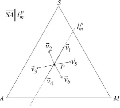 Figure 6: A directional vector on 