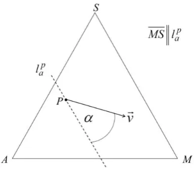 Figure 8: A directional vector on ∆  in relation to a 2MS -parallel (l ). pa