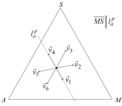 Figure 9: Representative vectors regarding 