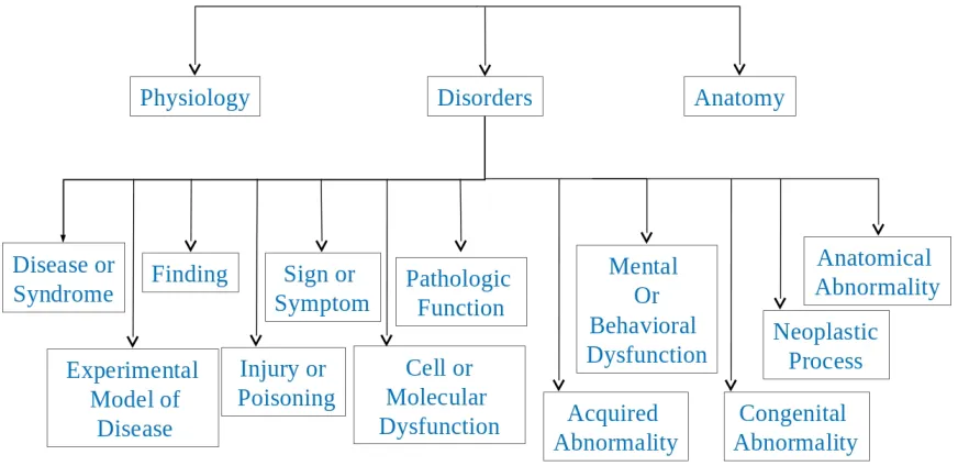Figure 5.2: A part of UMLS semantic types and semantic groups hierarchy.