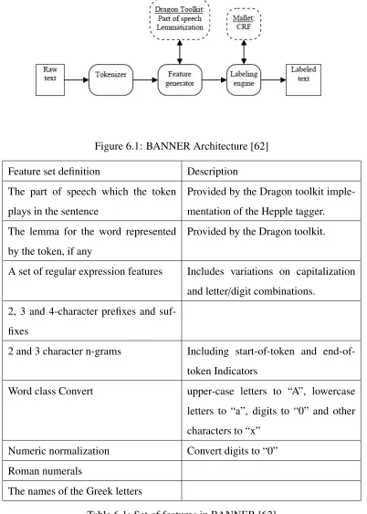 Table 6.1: Set of features in BANNER [62]