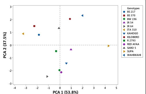 Figure 1: Dendrogram from mean values of grain and kernel traits among 13 rice genotypes.