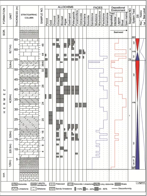 Figure 9. Frequency column of microscopic microfacies of Hermez Formation in Darin section