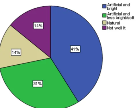 Figure 4.5: In Store lighting 