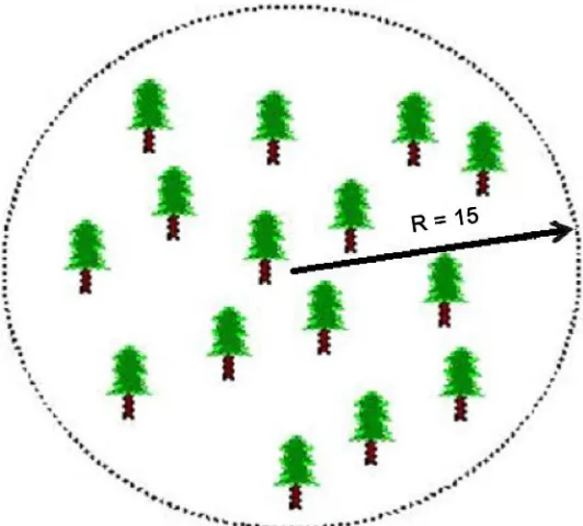 Figure 2. A circular sample plot with a radius (R) of 15 meters. 
