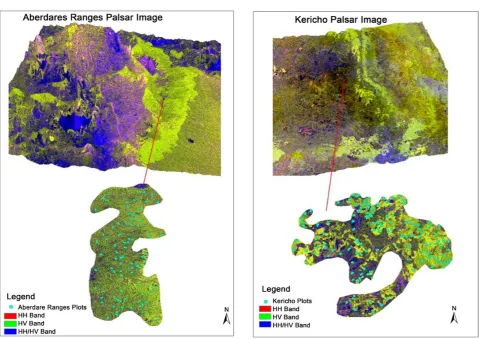 Figure 3. Aberdares Ranges and Kericho Alos palsar RGB.  