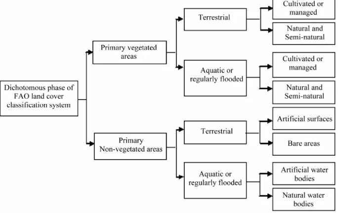 Figure 2. Hierarchical structures of the main classes according to FAO land cover system