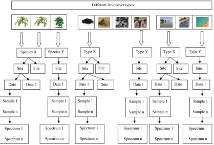 Figure 3. Hierarchical structures of the archived spectral data in the database. 