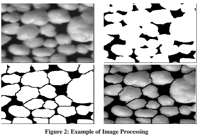 Figure 2: Example of Image Processing 