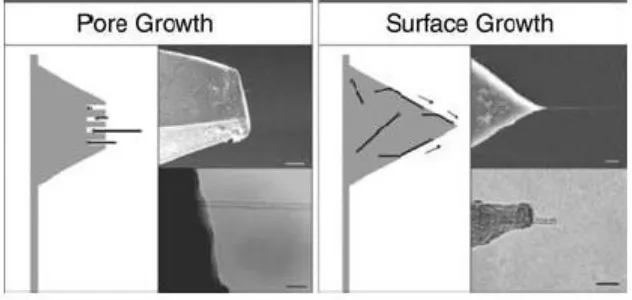 Figure 1:- CVD nanotube tip growth methods. 