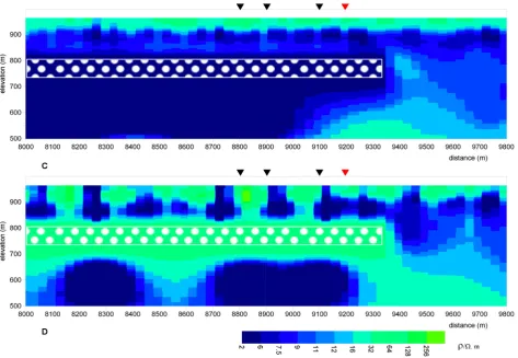 Figure 6. Constraint inversion results. The white rectangles with white dots are constrained with different resistivity values