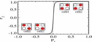 Fig 3: Neighbouring Cells Tend to Align due to Columbic Coupling   